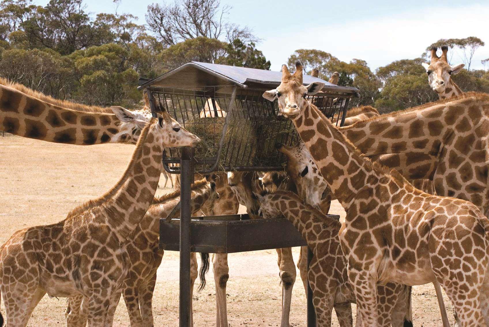 ダブルツリー デル モア ホテル サンディエゴ エクステリア 写真